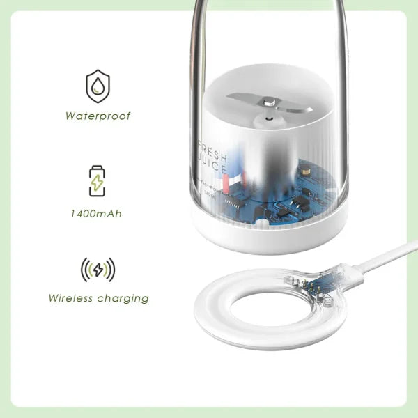 Mini Portable Electric Fruit Juicer